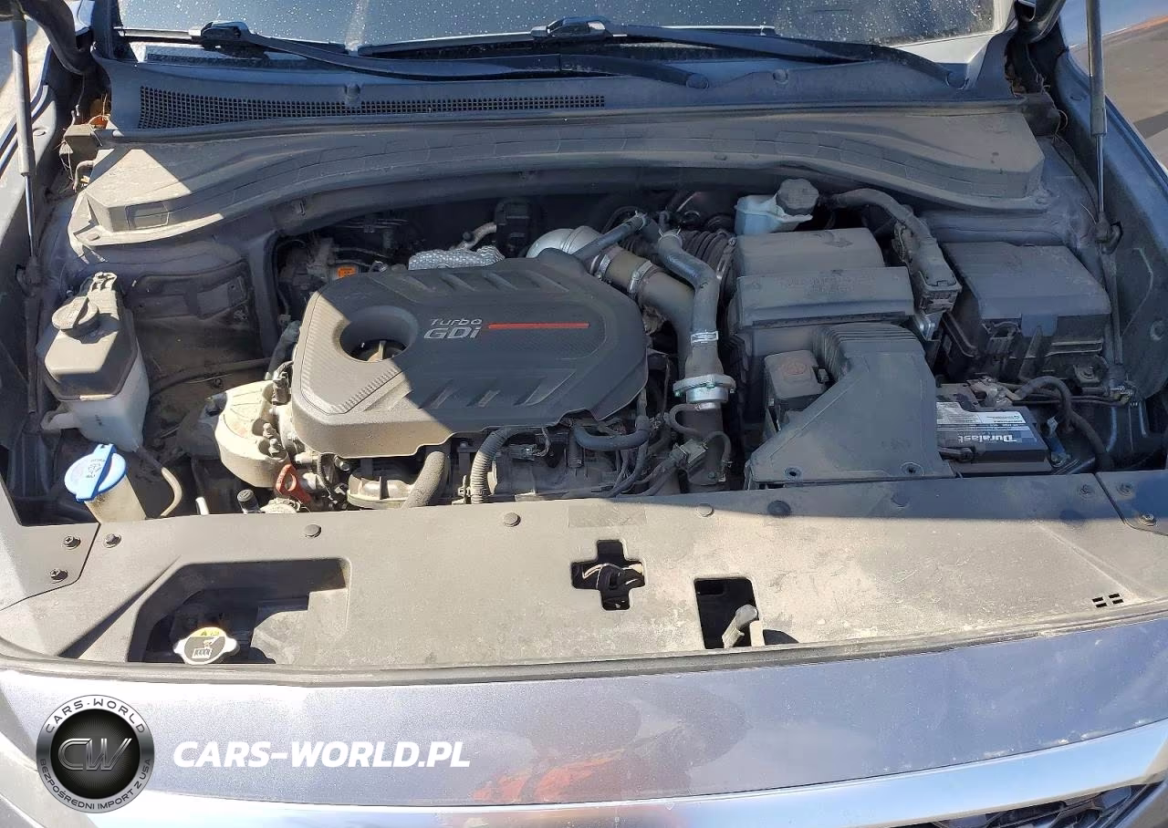 2019 Hyundai Santa Fe Ultimate 2.0T VIN:5NMS53AA5KH024851 - 12