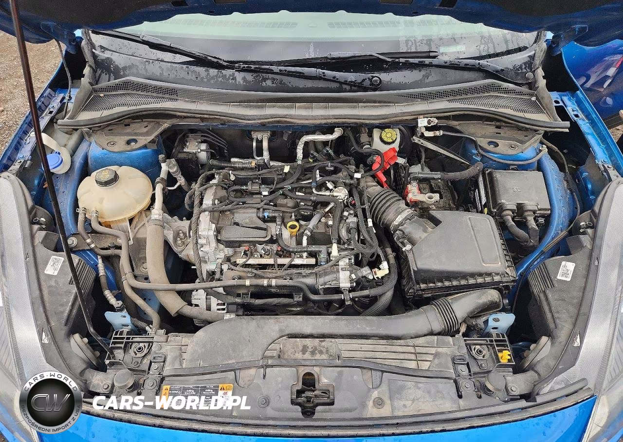 2021 Ford Escape Sel VIN:1FMCU9H67MUA64528 - 12