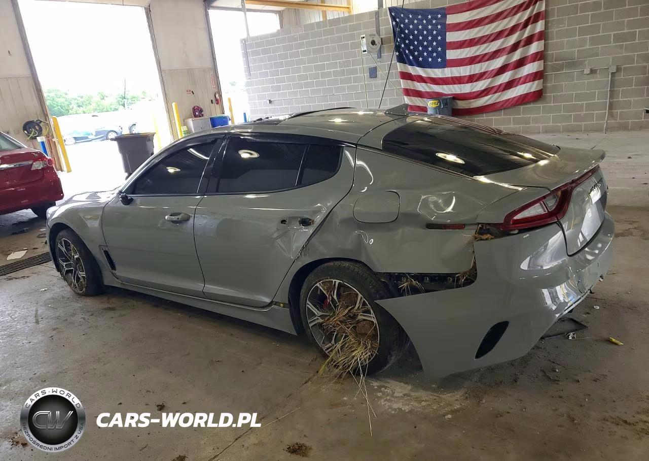 2019 Kia Stinger Gt1 VIN:KNAE45LC7K6058911 - 2