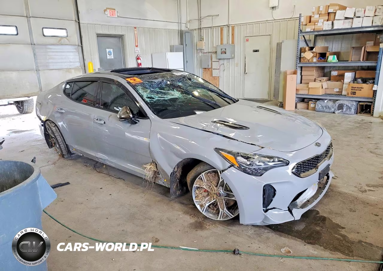 2019 Kia Stinger Gt1 VIN:KNAE45LC7K6058911 - 4