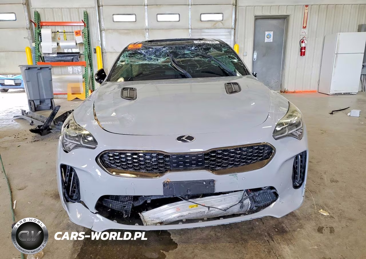 2019 Kia Stinger Gt1 VIN:KNAE45LC7K6058911 - 5