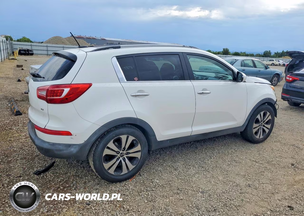 2013 Kia Sportage Ex VIN:KNDPC3A27D7461992 - 3