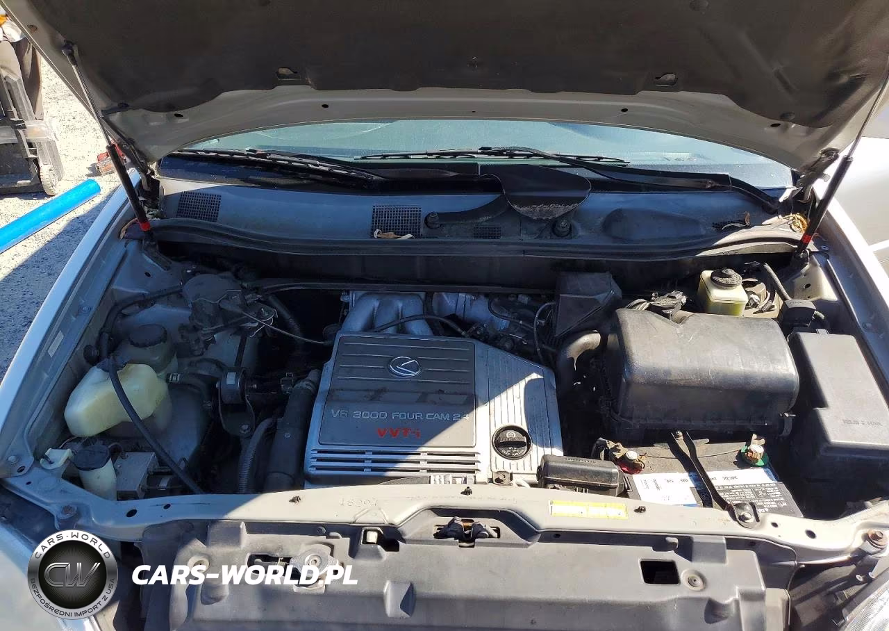 2000 Lexus Rx 300 VIN:JT6HF10U1Y0104736 - 12