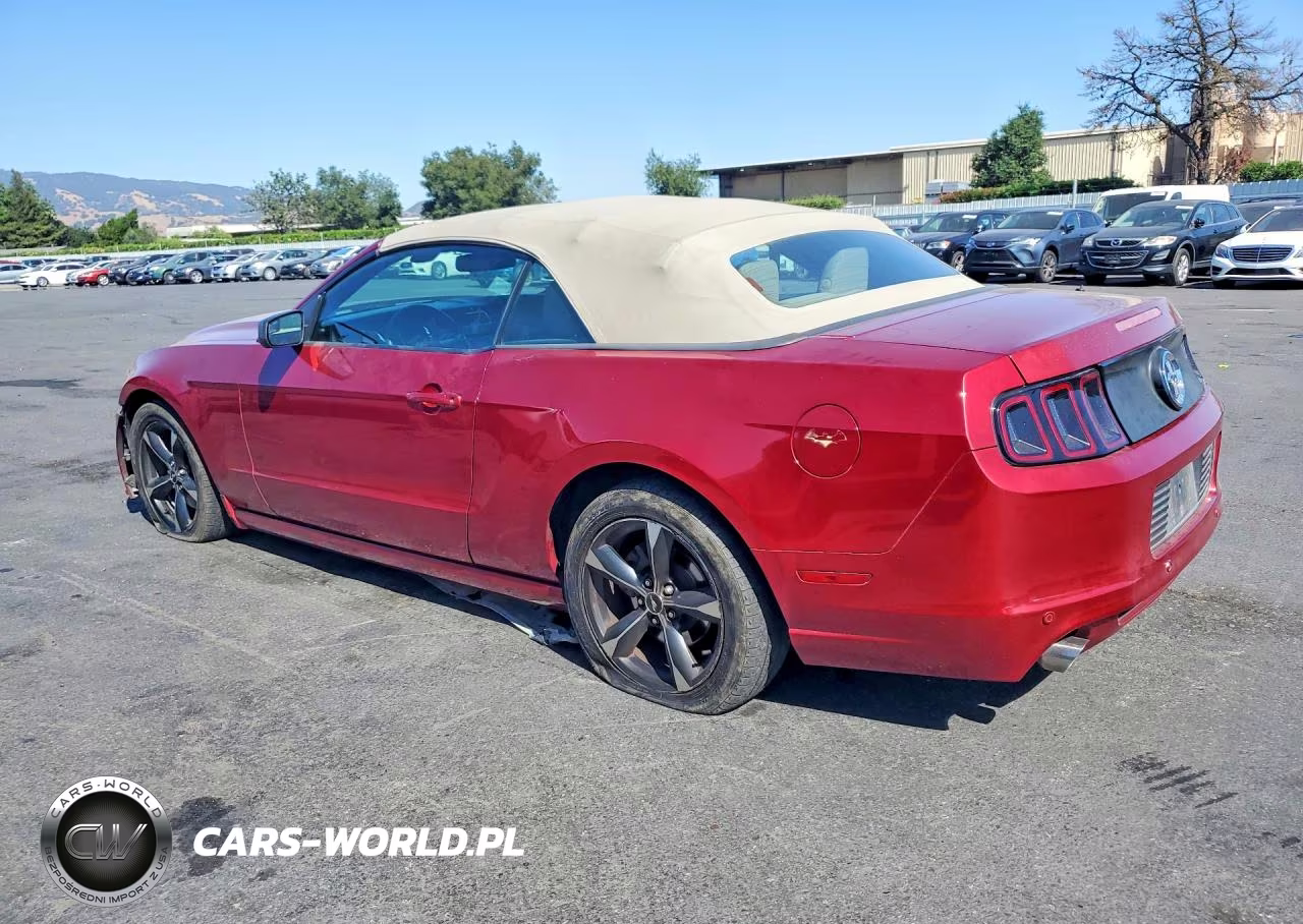 2014 Ford Mustang VIN:1ZVBP8EM9E5212899 - 2