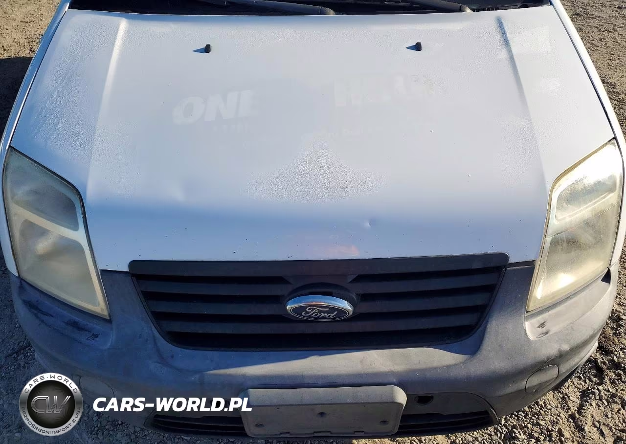2013 Ford Transit Connect Xl VIN:NM0LS7CN4DT125964 - 11