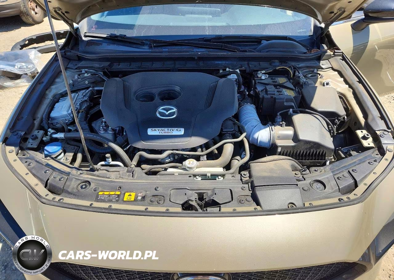 2024 Mazda 3 Carbon Turbo VIN:JM1BPBYYXR1705647 - 11