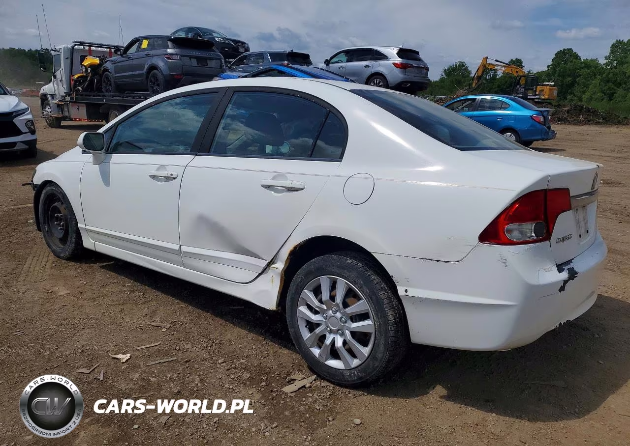 2010 Honda Civic VIN:19XFA1F58AE003981 - 2