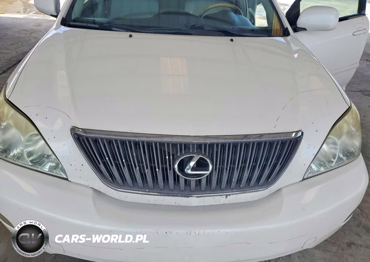 2007 Lexus Rx 350 VIN:2T2GK31U87C016650 - 11