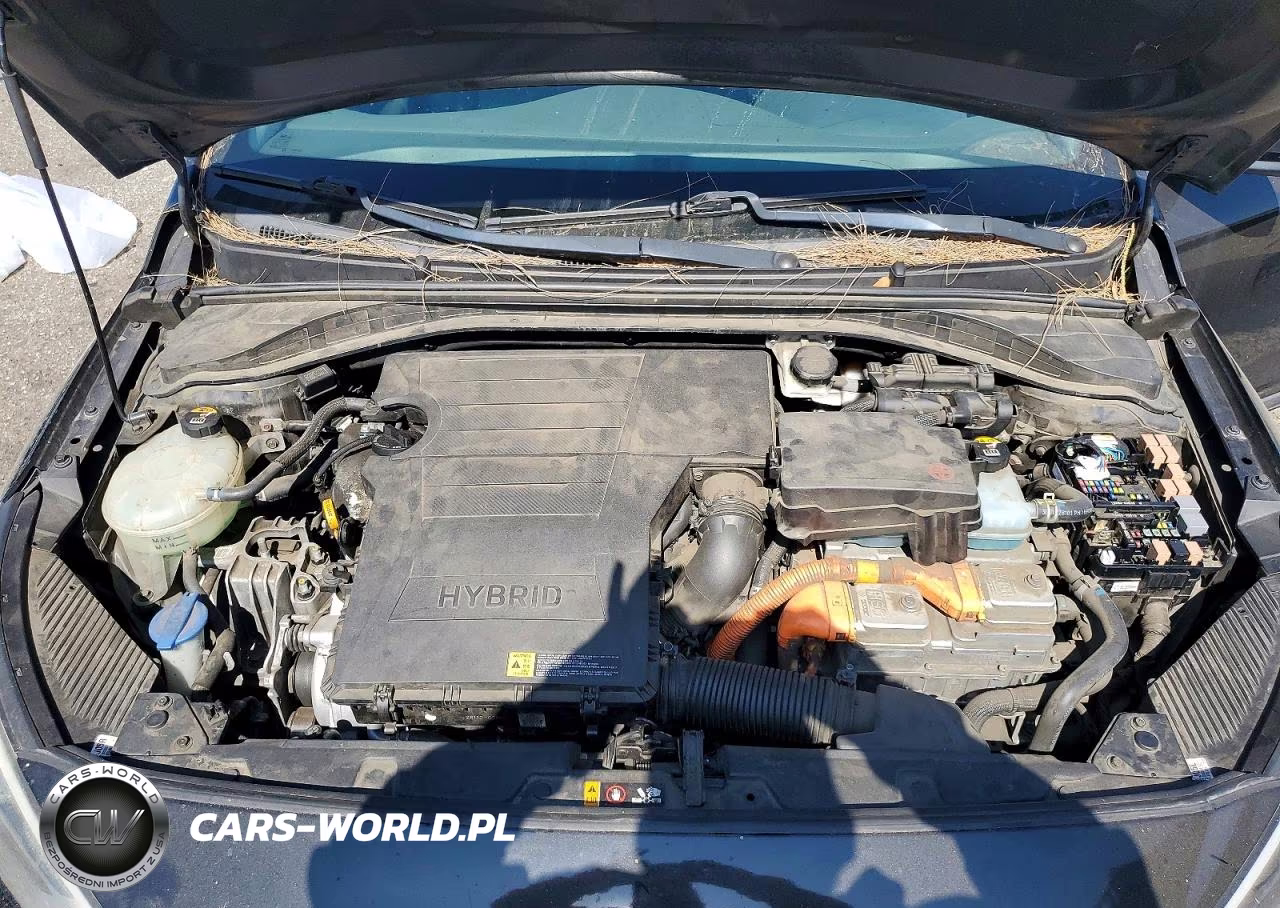 2018 Hyundai Ioniq Sel VIN:KMHC75LC4JU062650 - 11