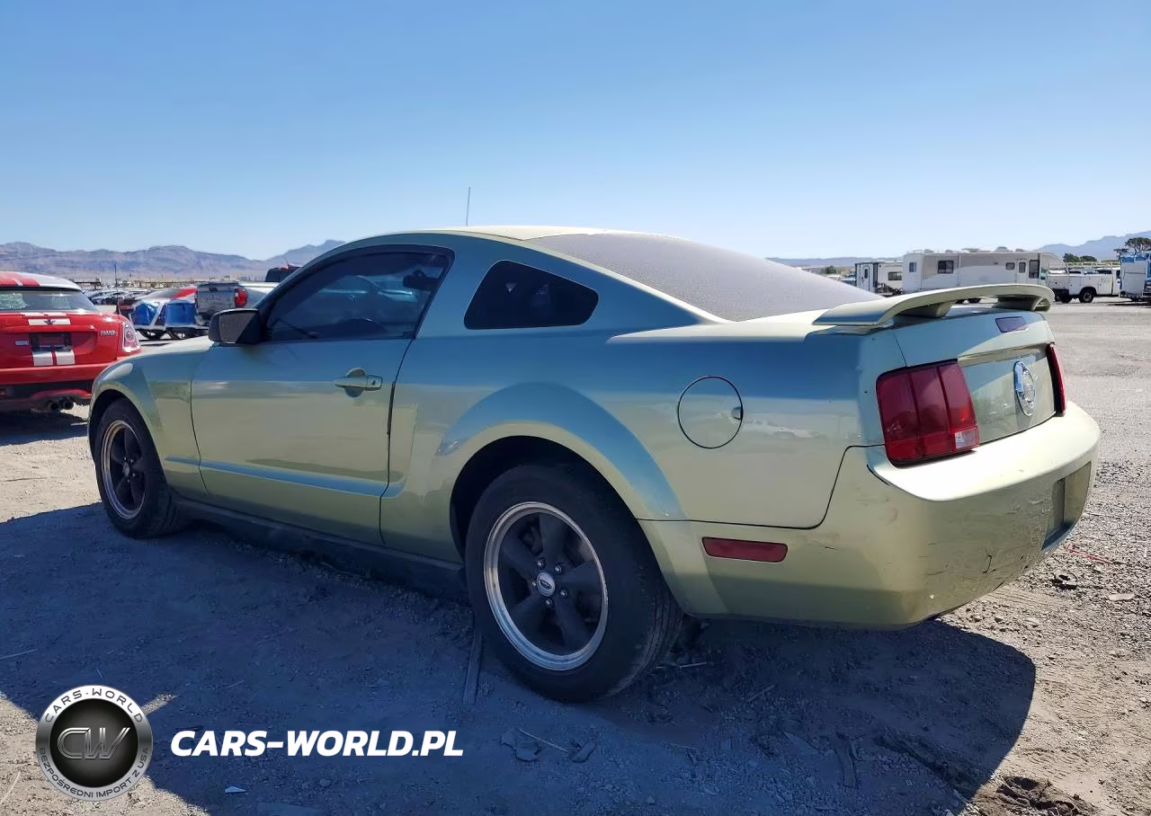 2006 Ford Mustang VIN:1ZVHT80N165140071 - 2