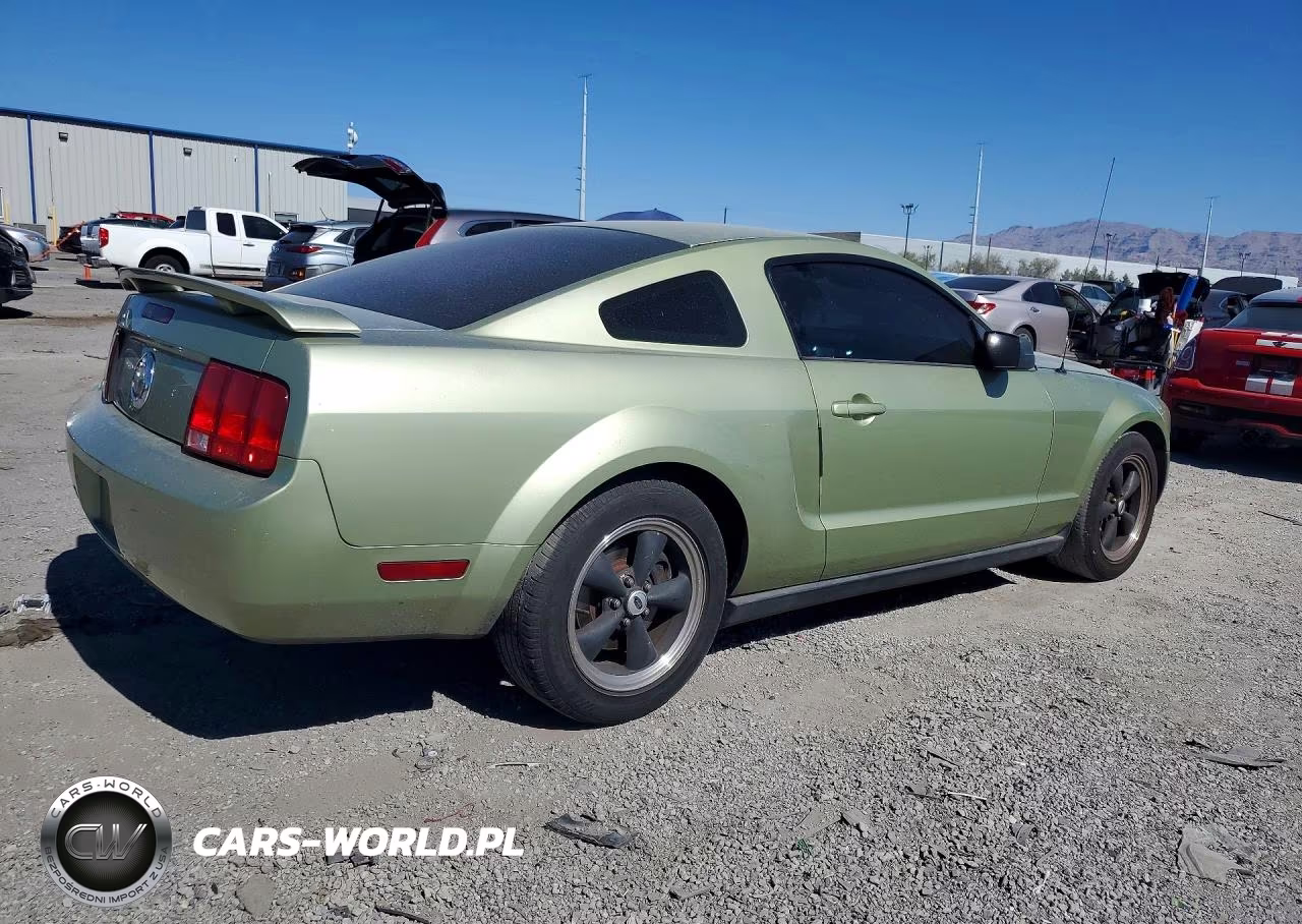 2006 Ford Mustang VIN:1ZVHT80N165140071 - 3