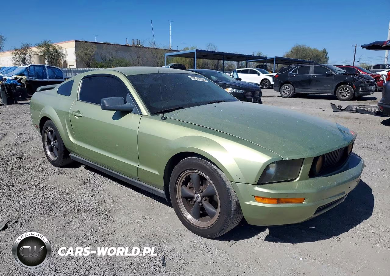 2006 Ford Mustang VIN:1ZVHT80N165140071 - 4