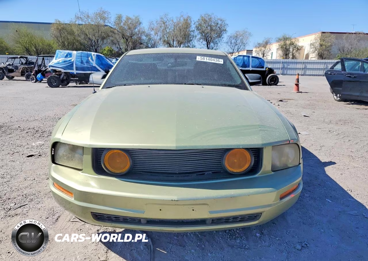 2006 Ford Mustang VIN:1ZVHT80N165140071 - 5