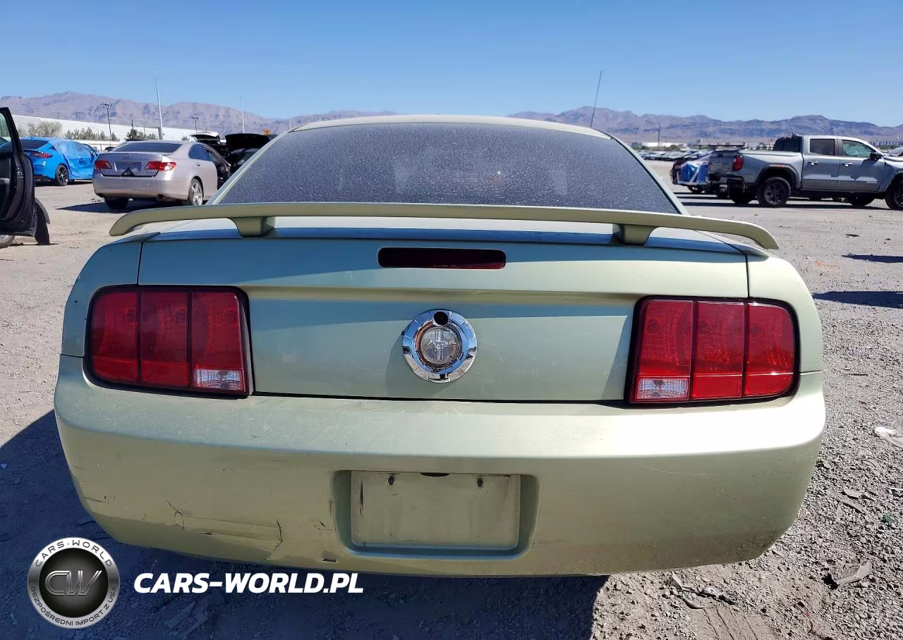 2006 Ford Mustang VIN:1ZVHT80N165140071 - 6