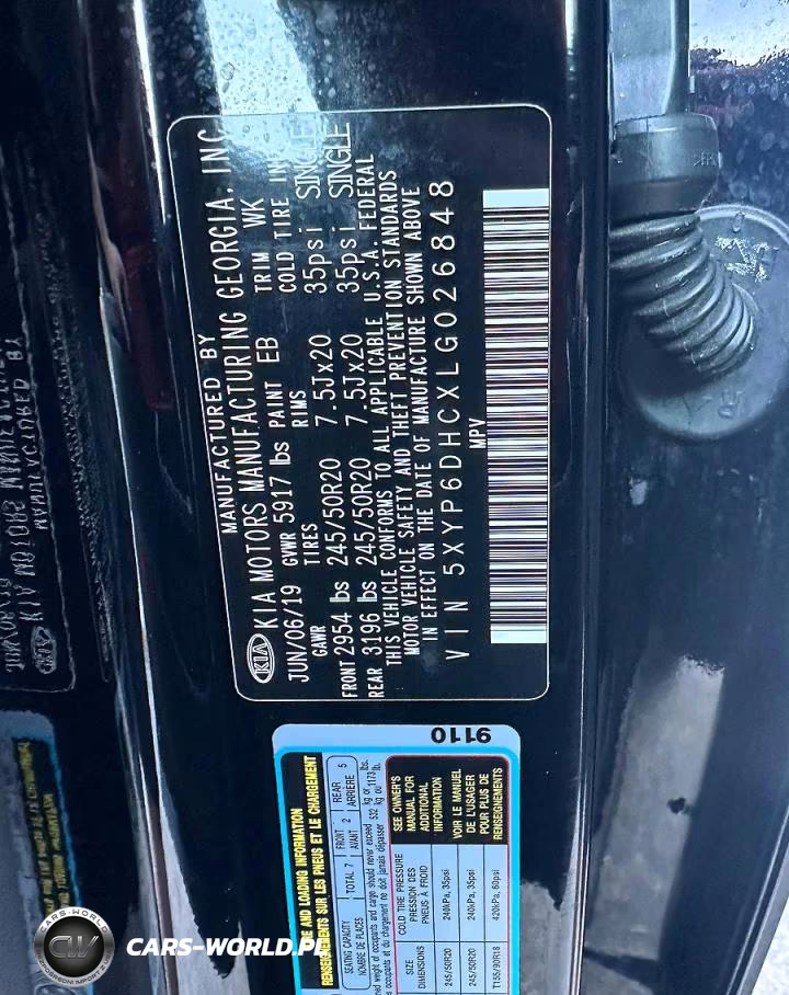 2020 Kia Telluride S VIN:5XYP6DHCXLG026848 - 10