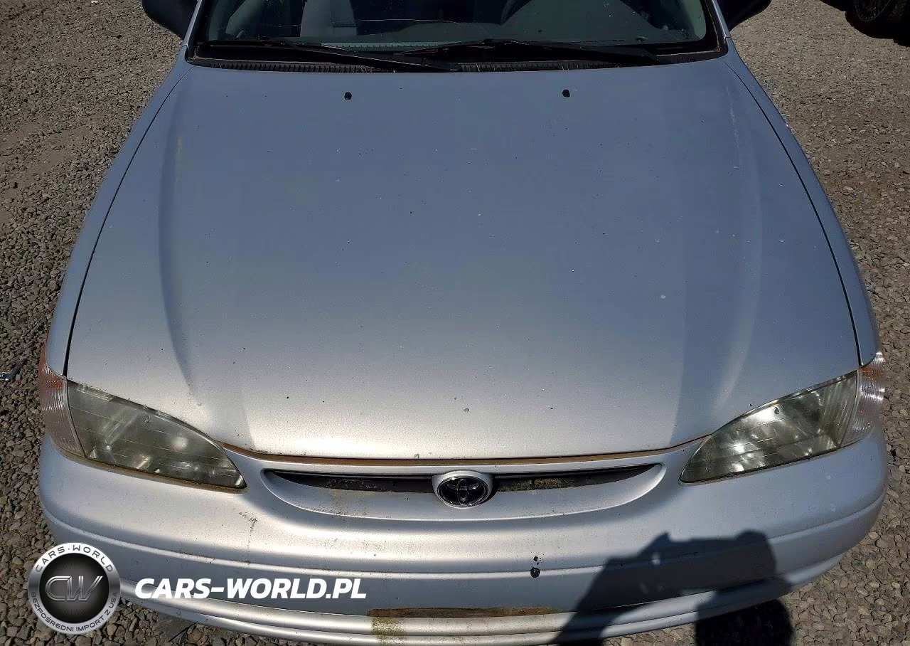 1999 Toyota Corolla Ve VIN:1NXBR12E3XZ183177 - 11