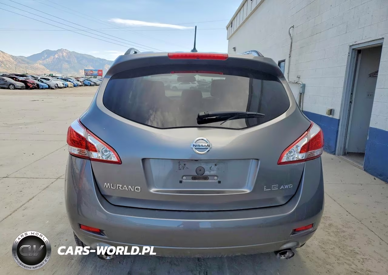 2013 Nissan Murano S VIN:JN8AZ1MWXDW300215 - 6