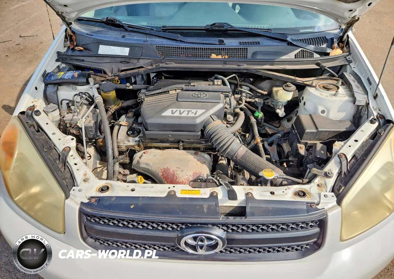 2005 Toyota Rav4 Base VIN:JTEGD20V250091141 - 12