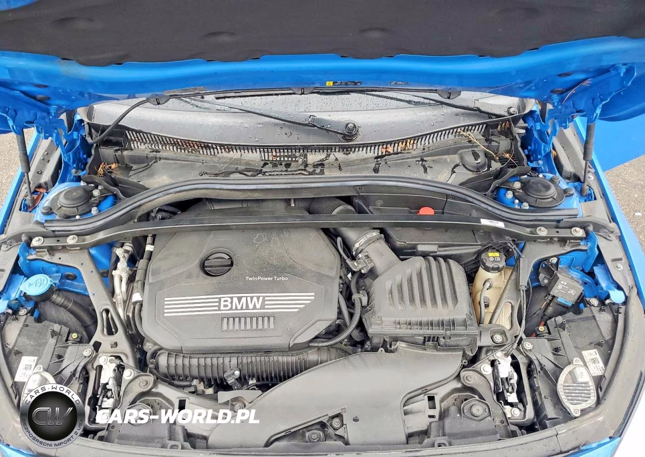 2021 BMW 228Xi VIN:WBA73AK0XM7G99918 - 11