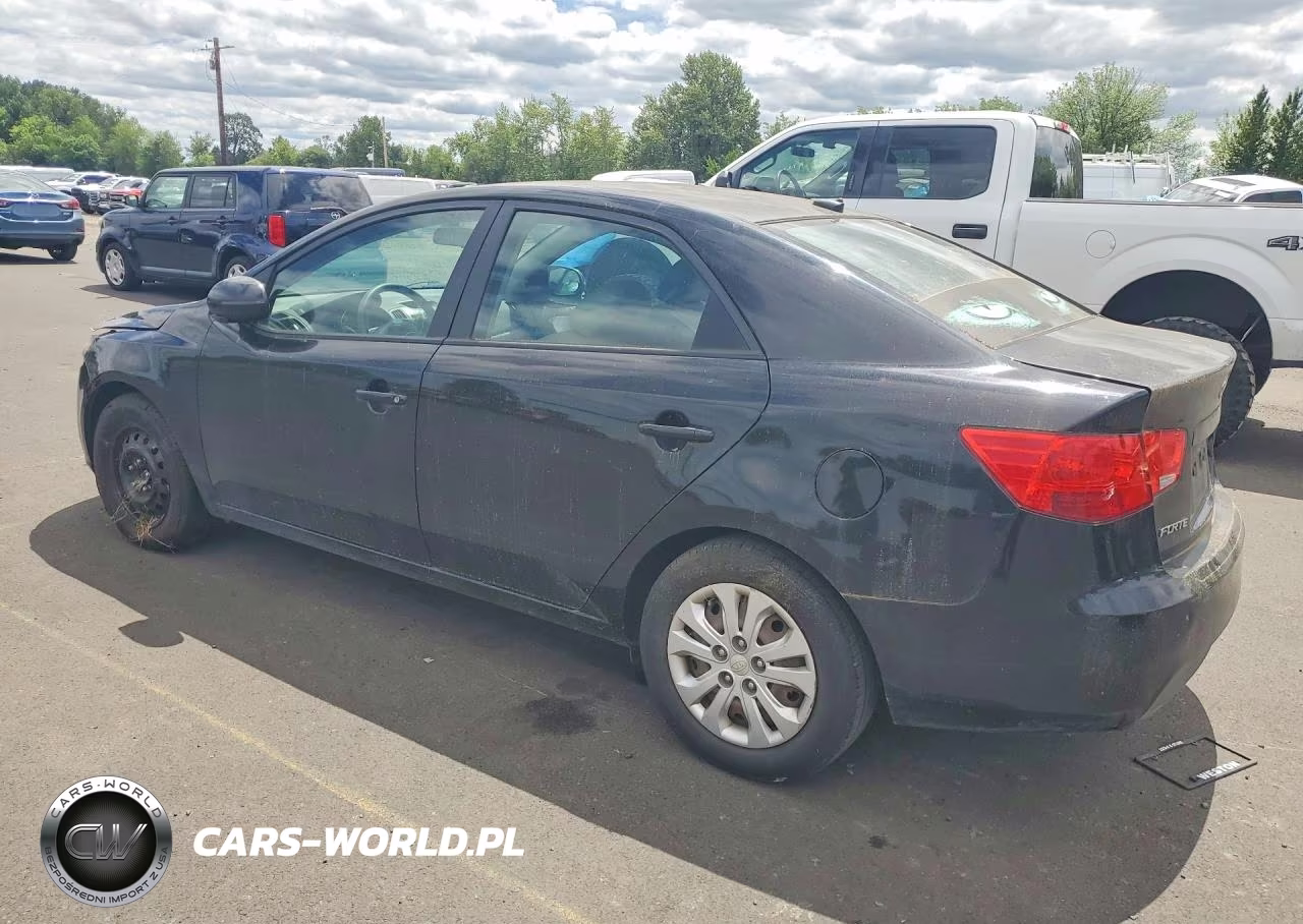 2013 Kia Forte VIN:KNAFU4A21D5708169 - 2