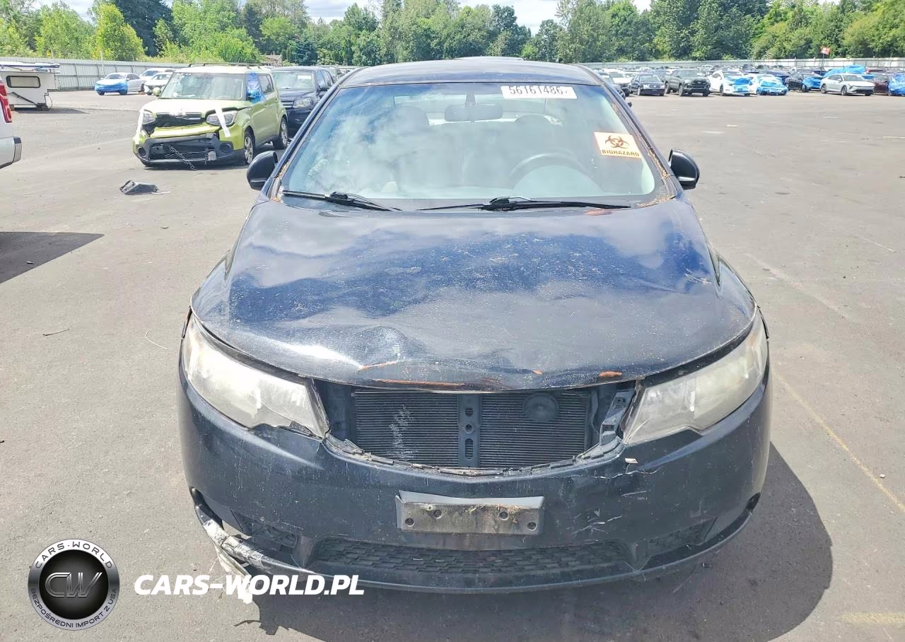 2013 Kia Forte VIN:KNAFU4A21D5708169 - 5