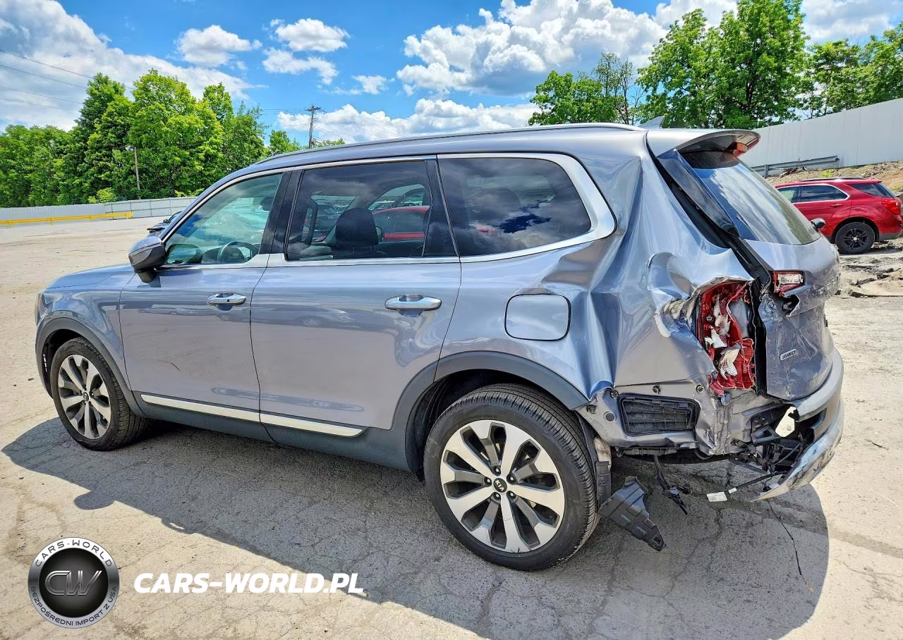2020 Kia Telluride S VIN:5XYP6DHC1LG016919 - 2