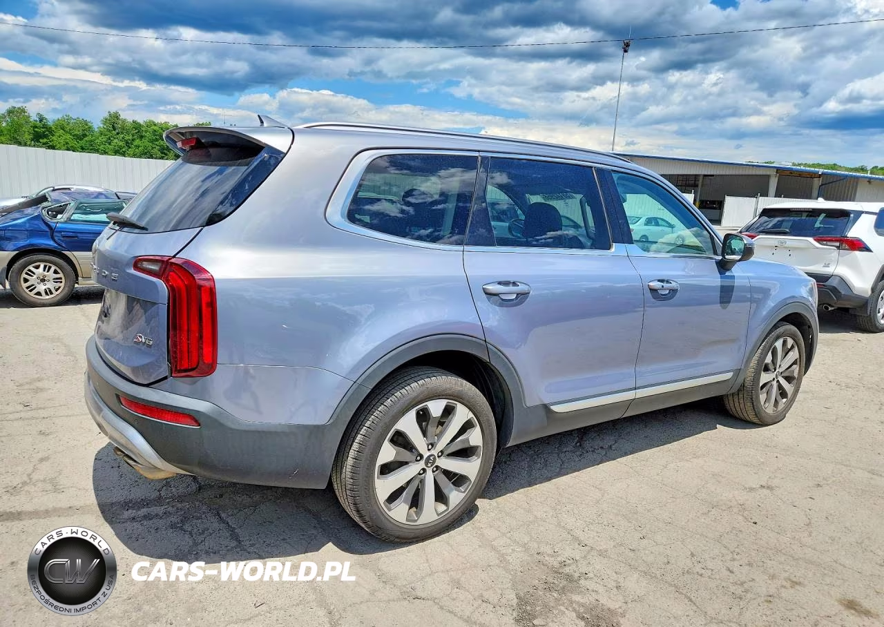 2020 Kia Telluride S VIN:5XYP6DHC1LG016919 - 3