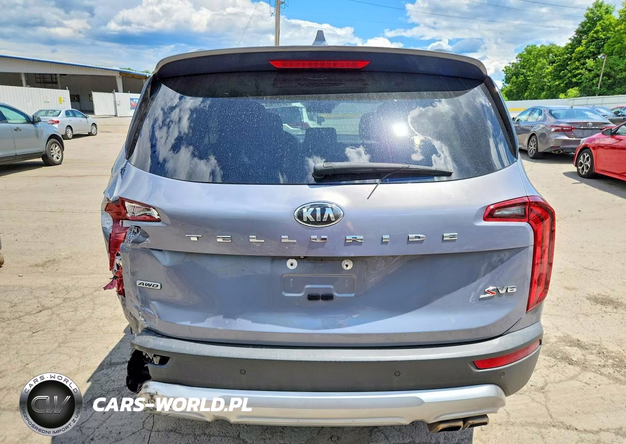 2020 Kia Telluride S VIN:5XYP6DHC1LG016919 - 6