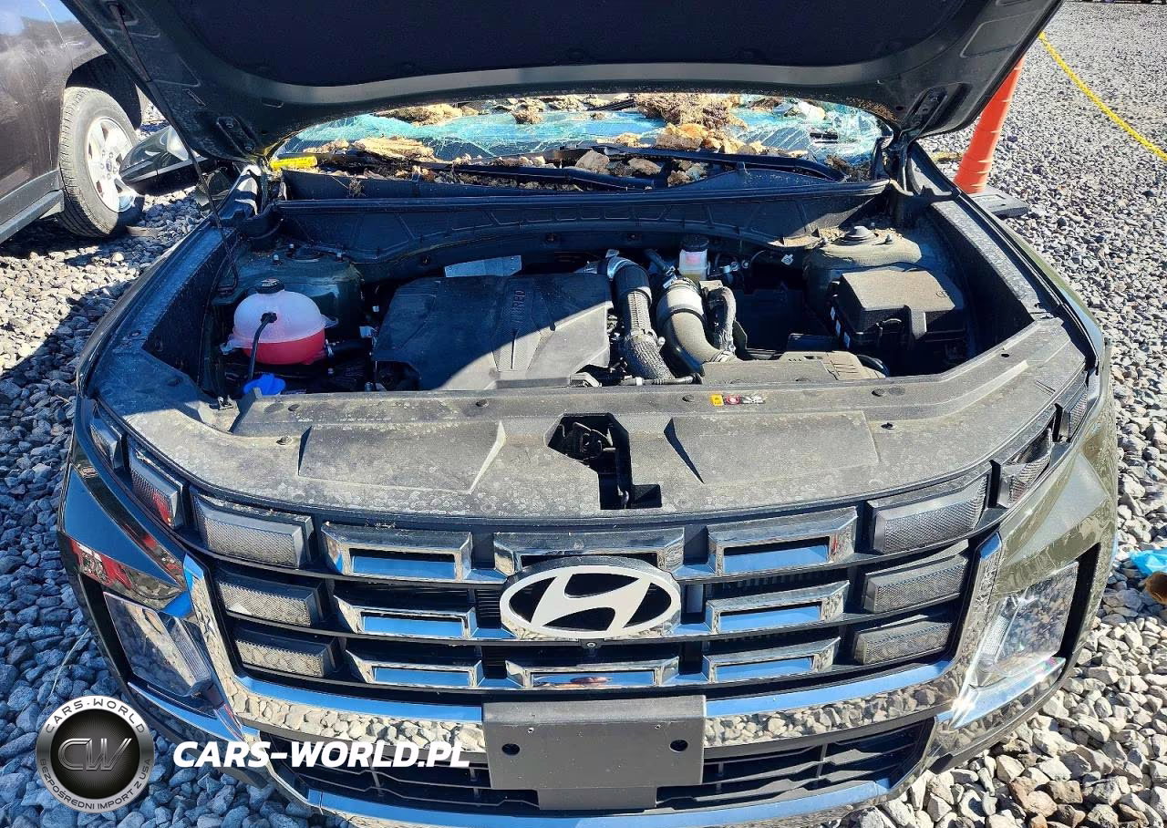 2025 Hyundai Santa Cruz Limited VIN:5NTJEDDF8SH130630 - 11