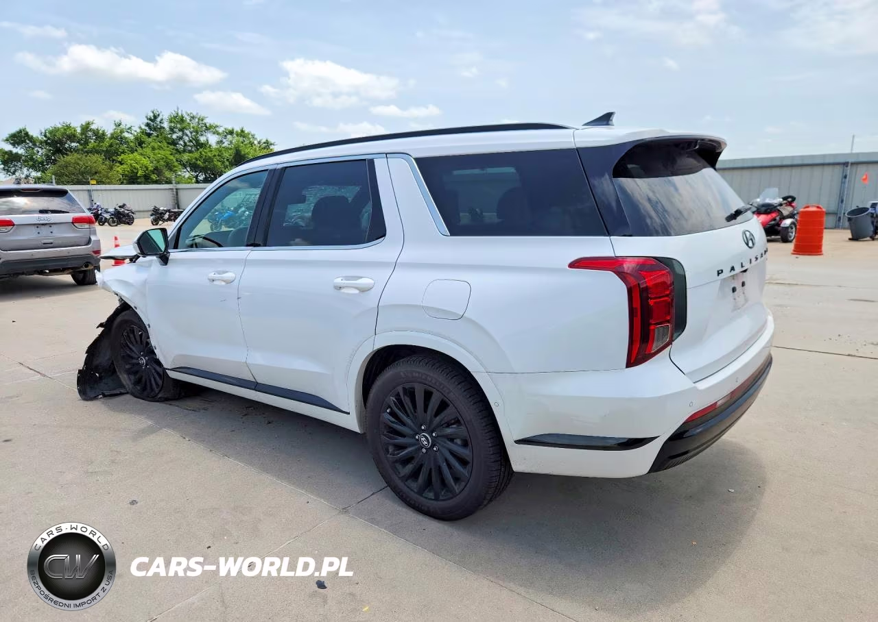 2024 Hyundai Palisade Calligraphy Night Edition VIN:KM8R7DGE4RU749025 - 2