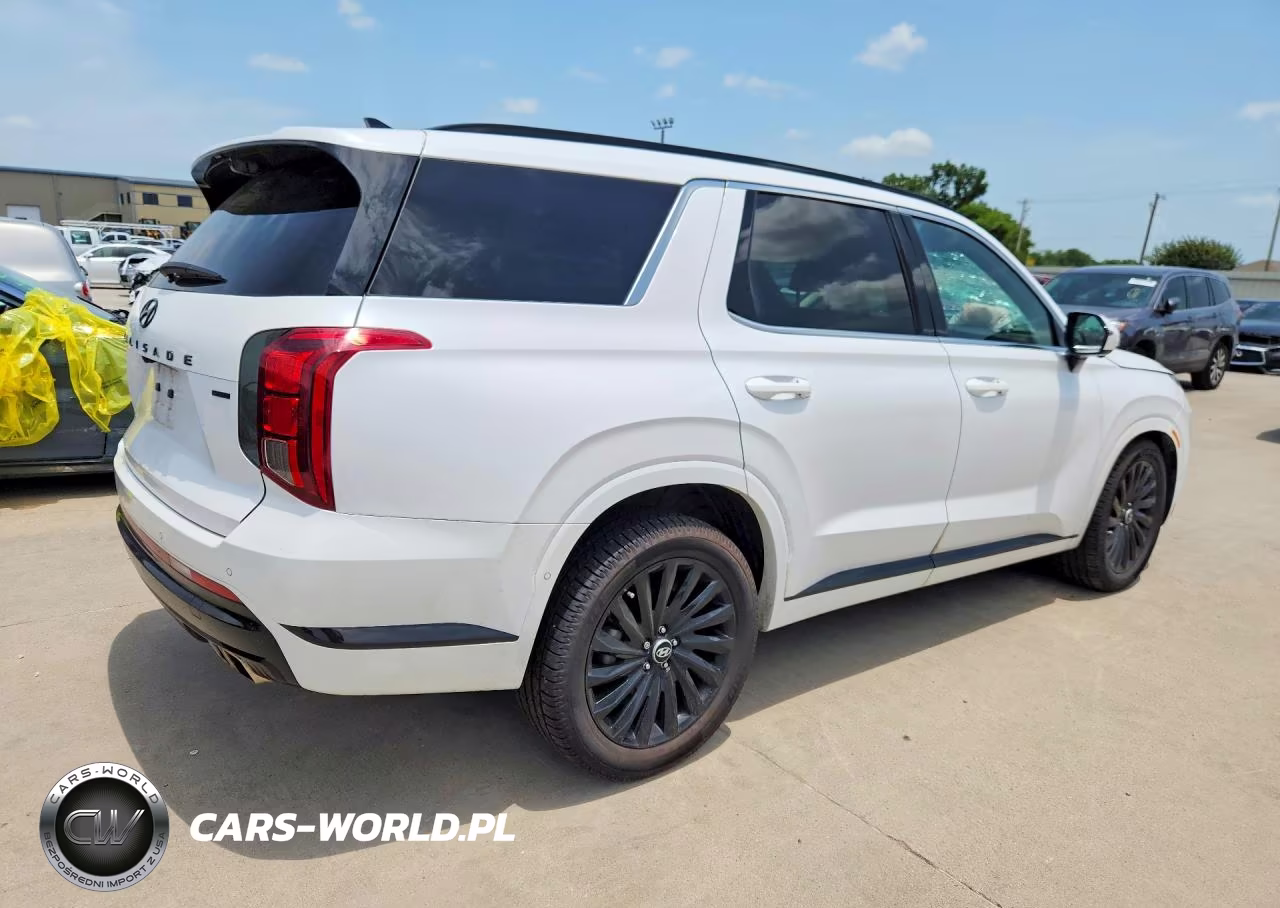 2024 Hyundai Palisade Calligraphy Night Edition VIN:KM8R7DGE4RU749025 - 3