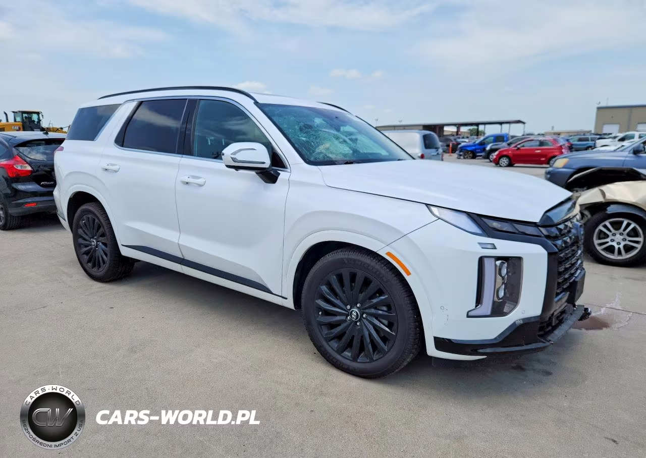2024 Hyundai Palisade Calligraphy Night Edition VIN:KM8R7DGE4RU749025 - 4