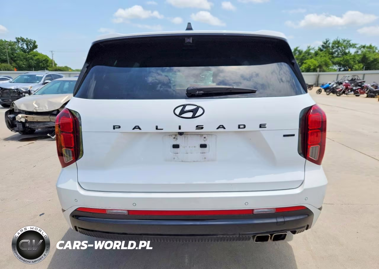 2024 Hyundai Palisade Calligraphy Night Edition VIN:KM8R7DGE4RU749025 - 6
