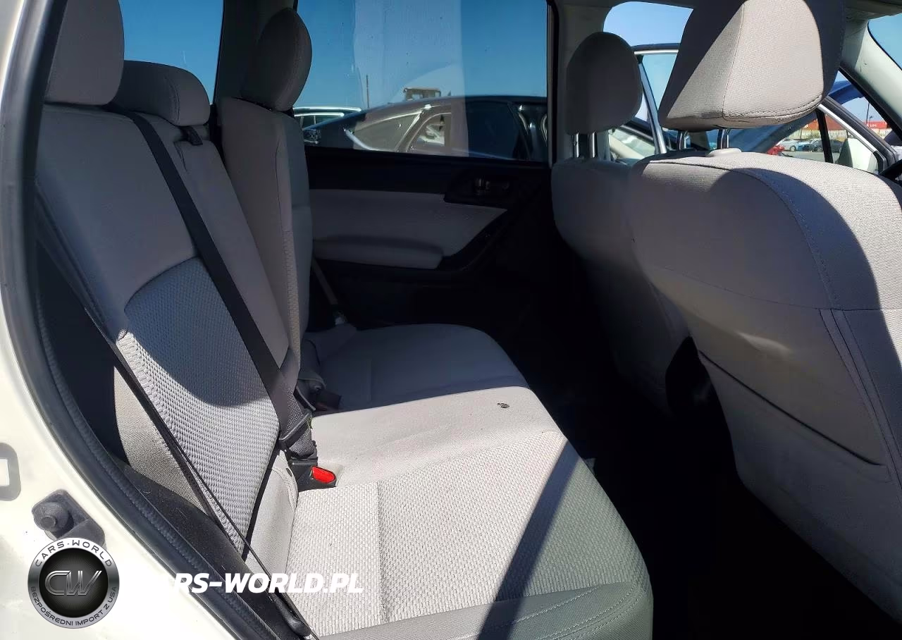 2018 Subaru Forester 2.5I Premium VIN:JF2SJAGCXJH604302 - 10
