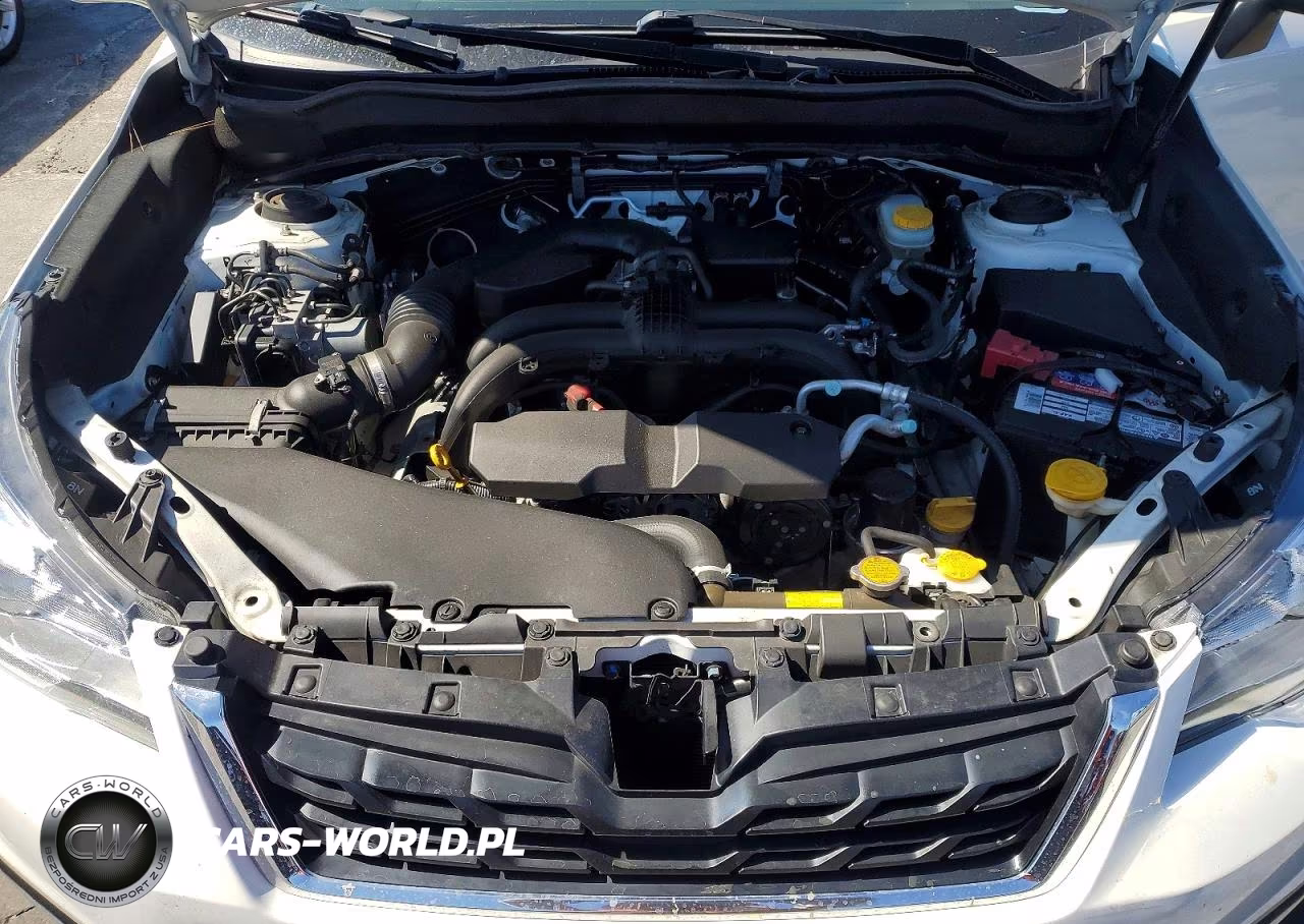 2018 Subaru Forester 2.5I Premium VIN:JF2SJAGCXJH604302 - 11