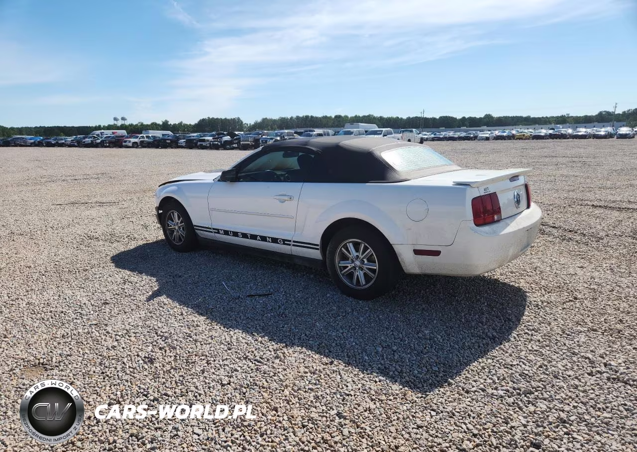 2008 Ford Mustang VIN:1ZVHT84N085171132 - 2