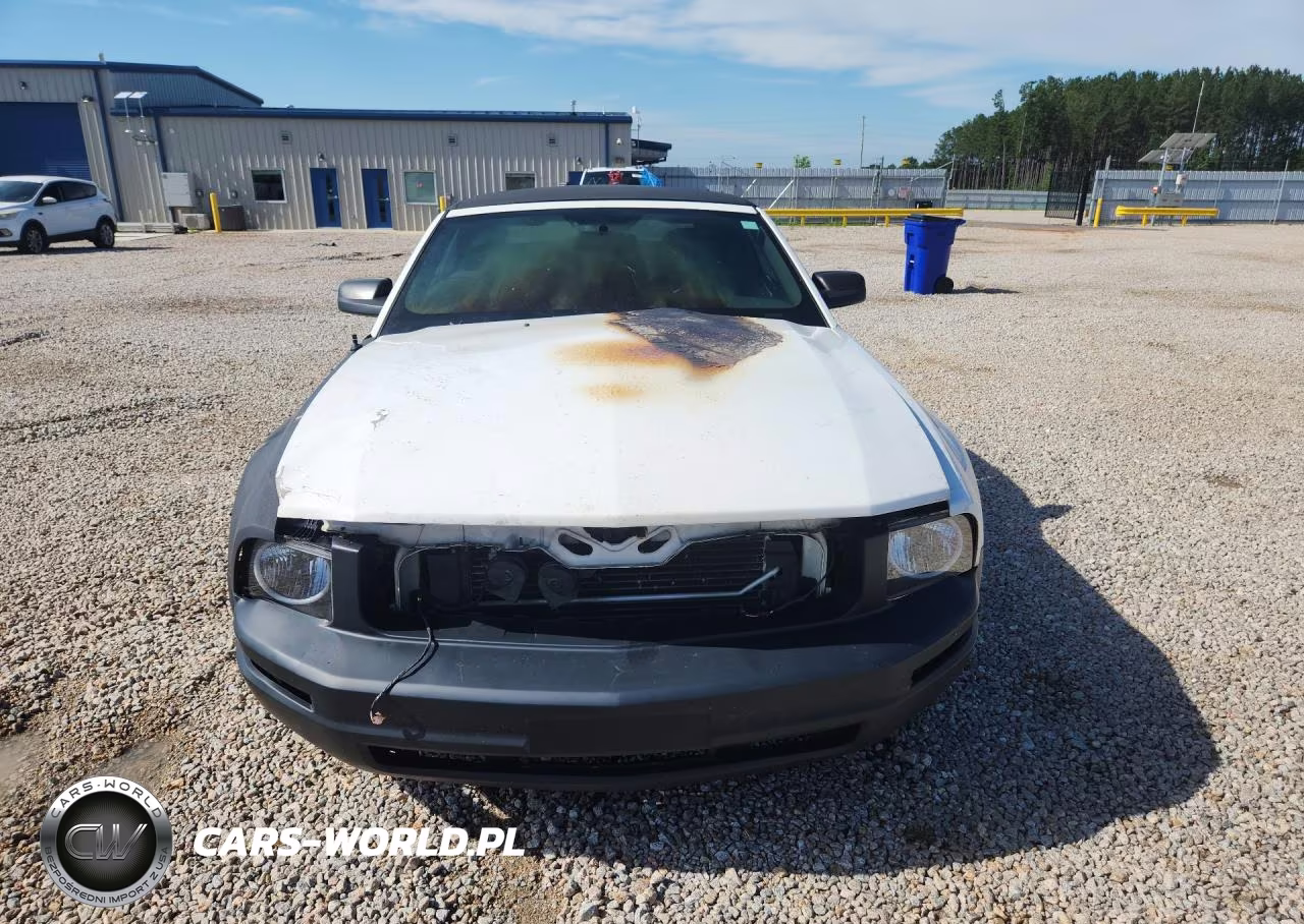 2008 Ford Mustang VIN:1ZVHT84N085171132 - 5