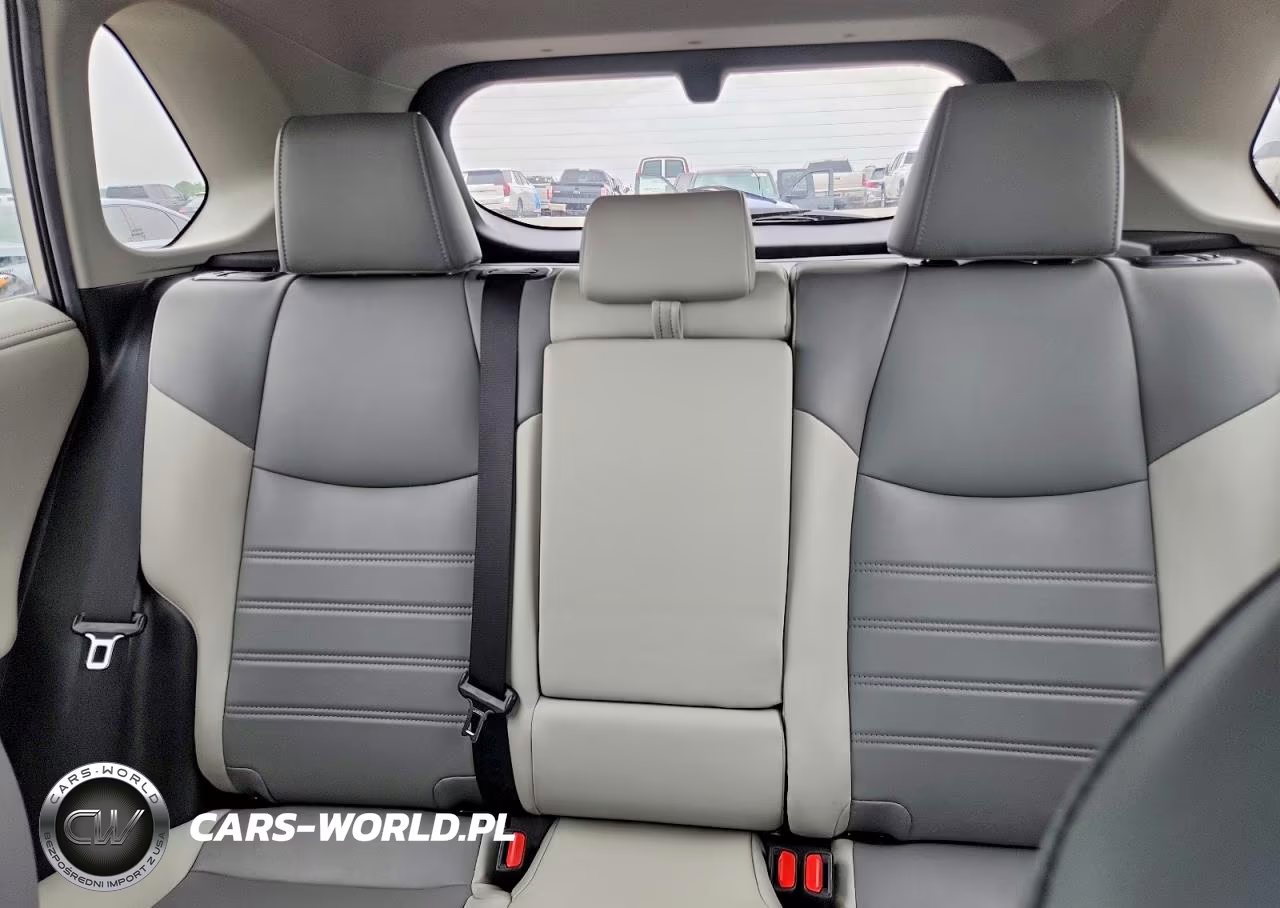 2019 Toyota Rav4 Limited VIN:2T3Y1RFV1KC010382 - 10