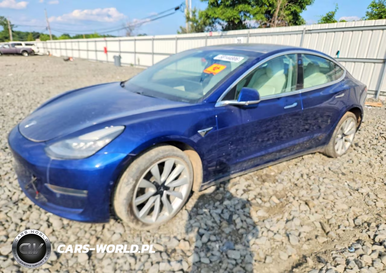 2019 Tesla Model 3