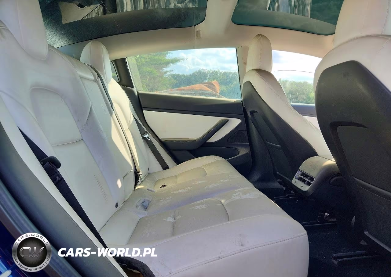 2019 Tesla Model 3 VIN:5YJ3E1EB8KF450918 - 10