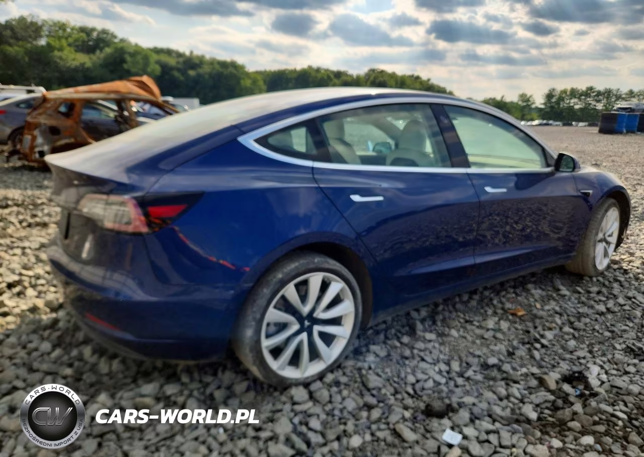 2019 Tesla Model 3 VIN:5YJ3E1EB8KF450918 - 3