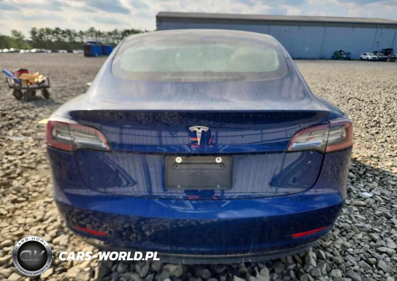 2019 Tesla Model 3 VIN:5YJ3E1EB8KF450918 - 6