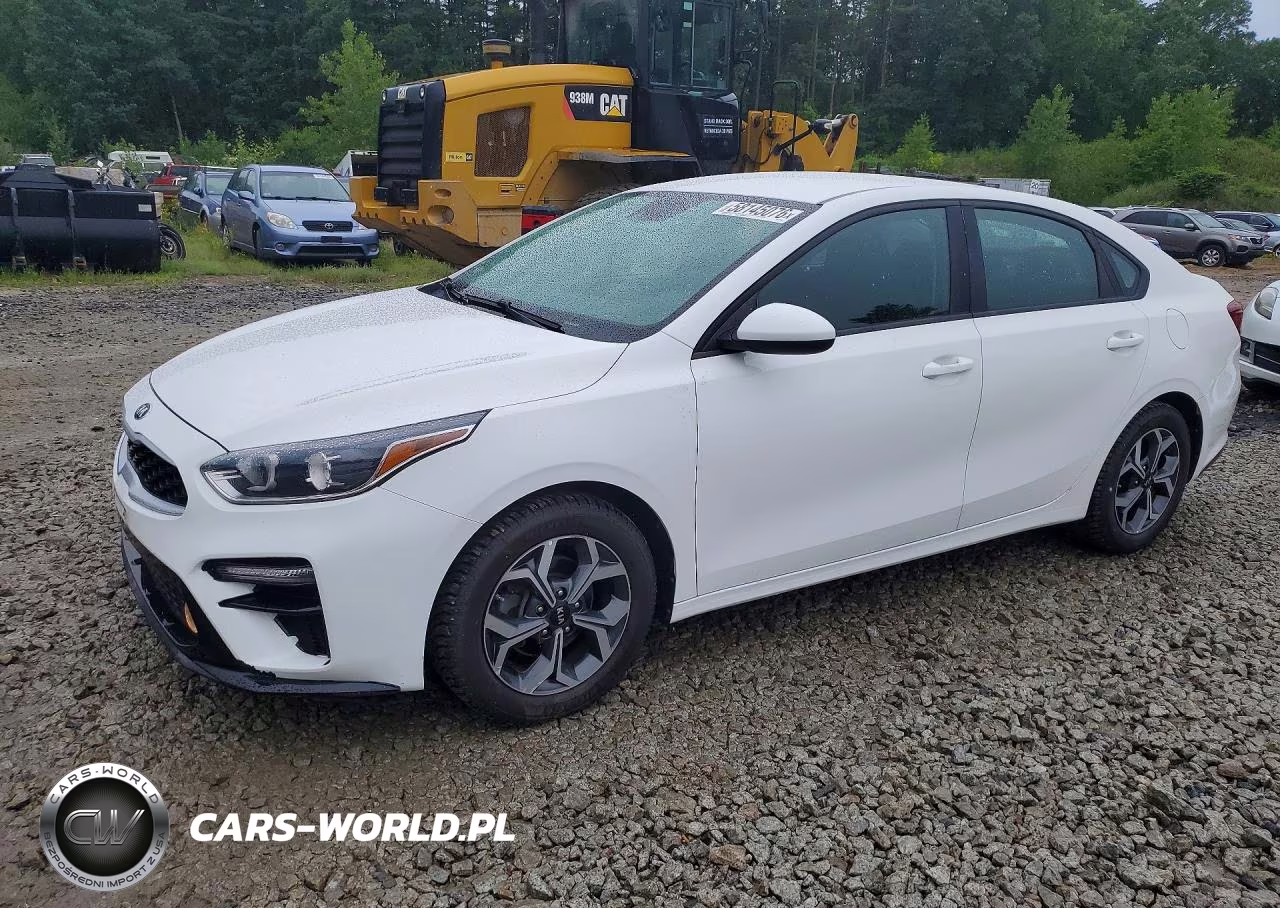 2019 Kia Forte Lxs