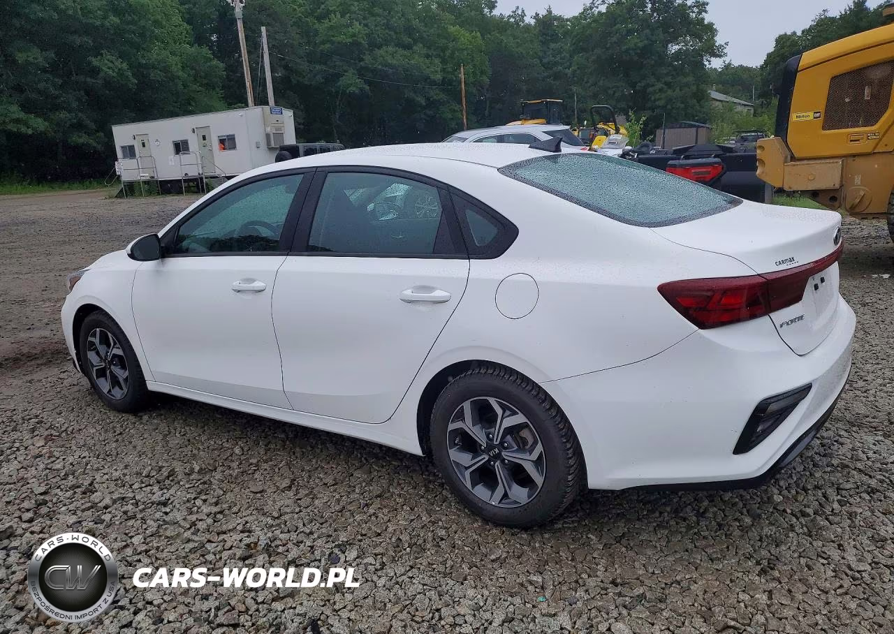 2019 Kia Forte Lxs VIN:3KPF24AD2KE071496 - 2