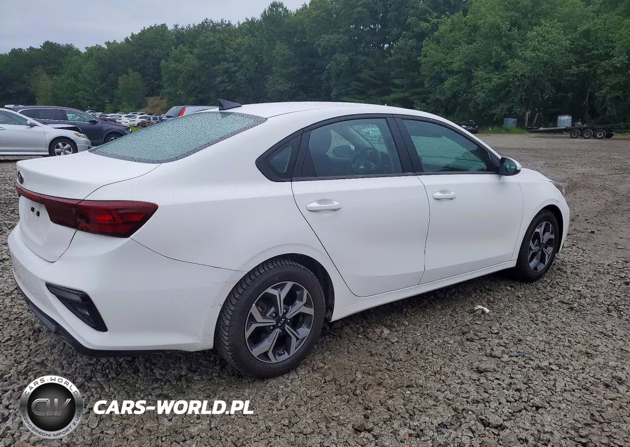 2019 Kia Forte Lxs VIN:3KPF24AD2KE071496 - 3