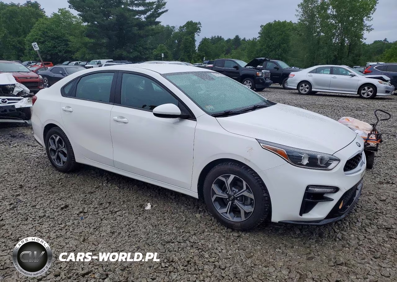 2019 Kia Forte Lxs VIN:3KPF24AD2KE071496 - 4