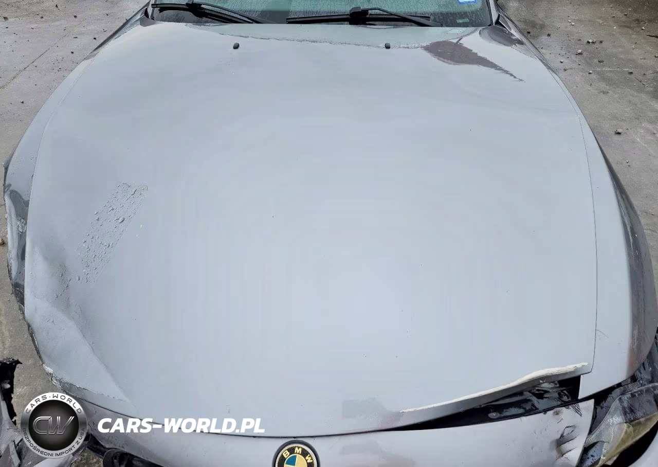 2004 BMW Z4 2.5 VIN:4USBT33554LR68473 - 11