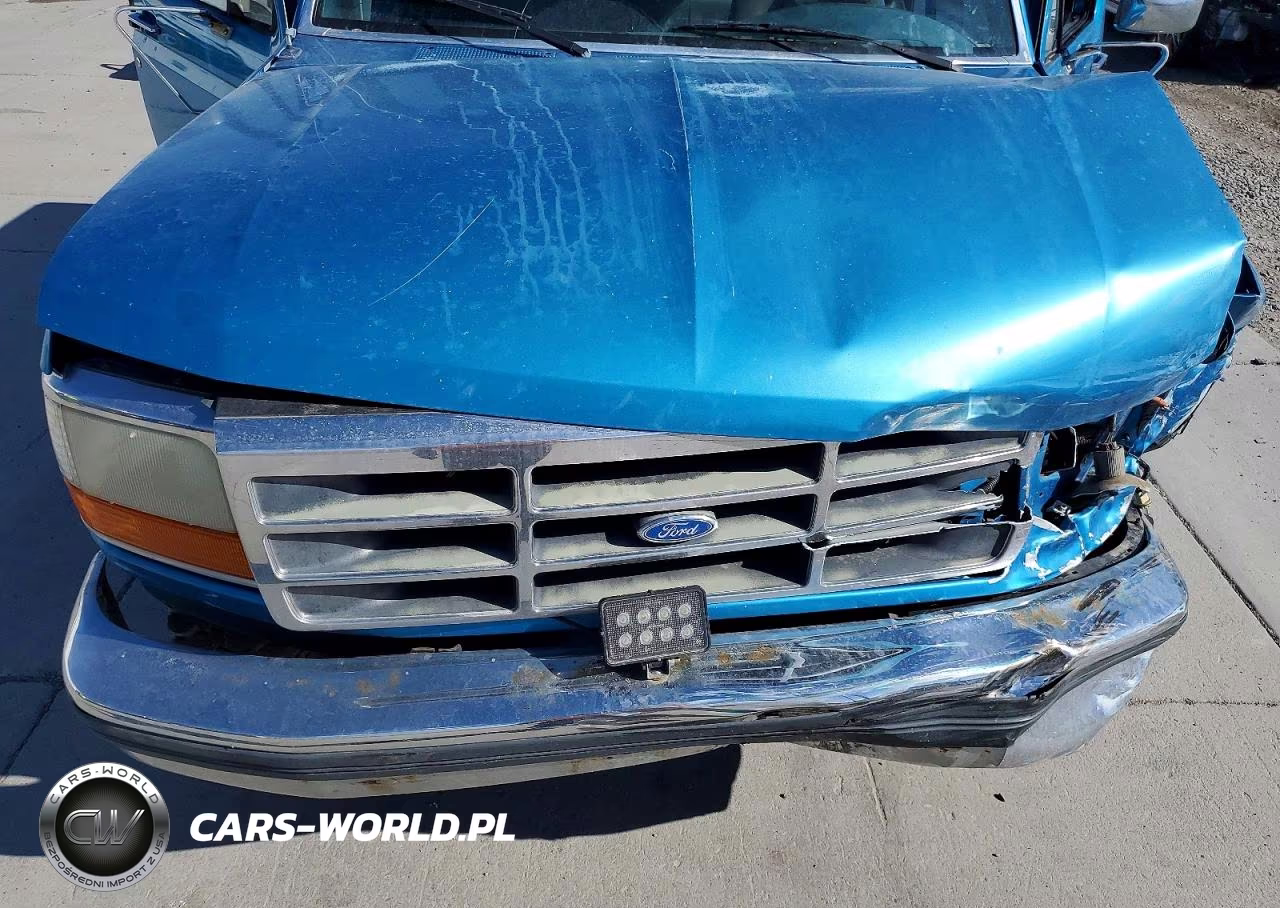 1995 Ford F150 VIN:1FTEX14N1SKB73935 - 11