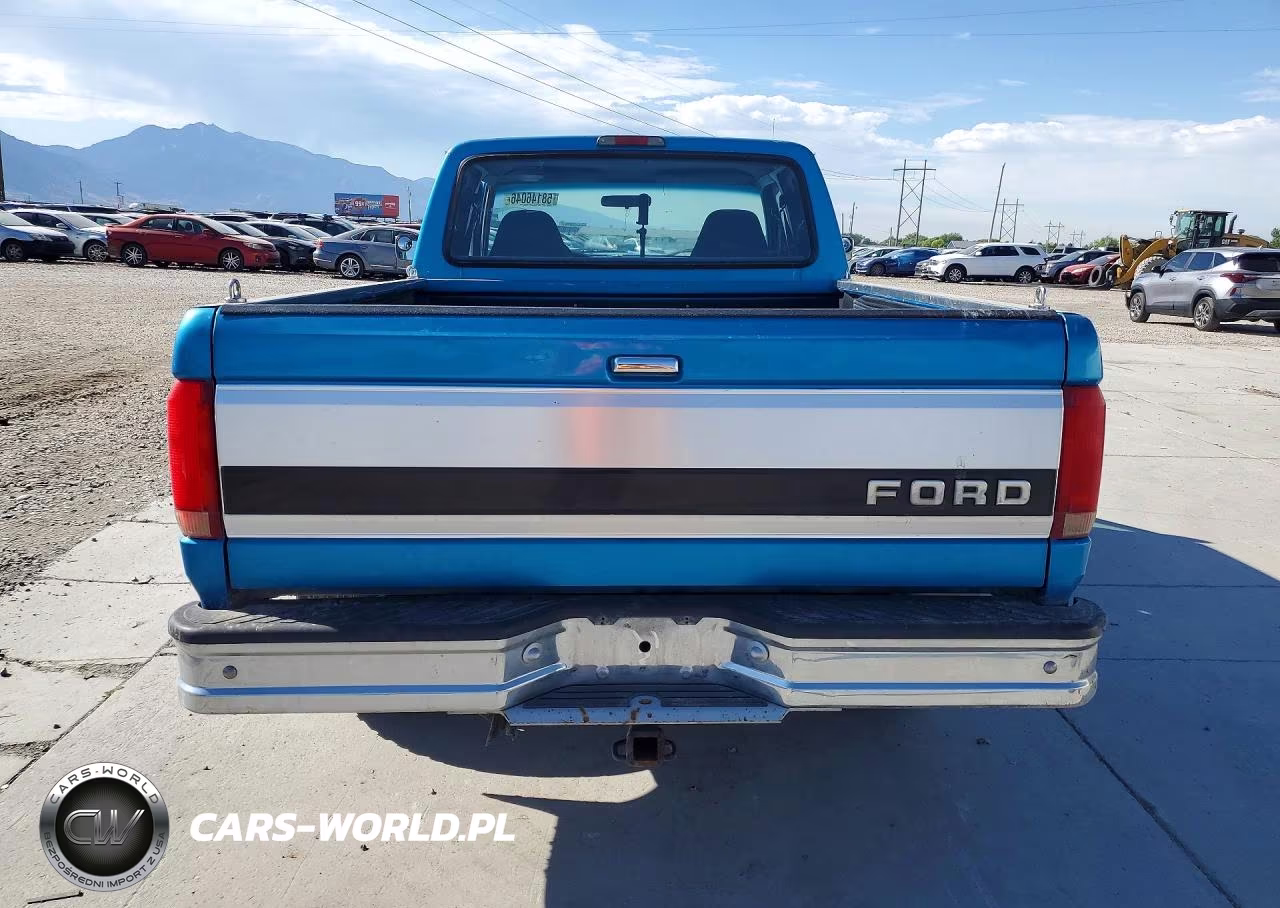 1995 Ford F150 VIN:1FTEX14N1SKB73935 - 6