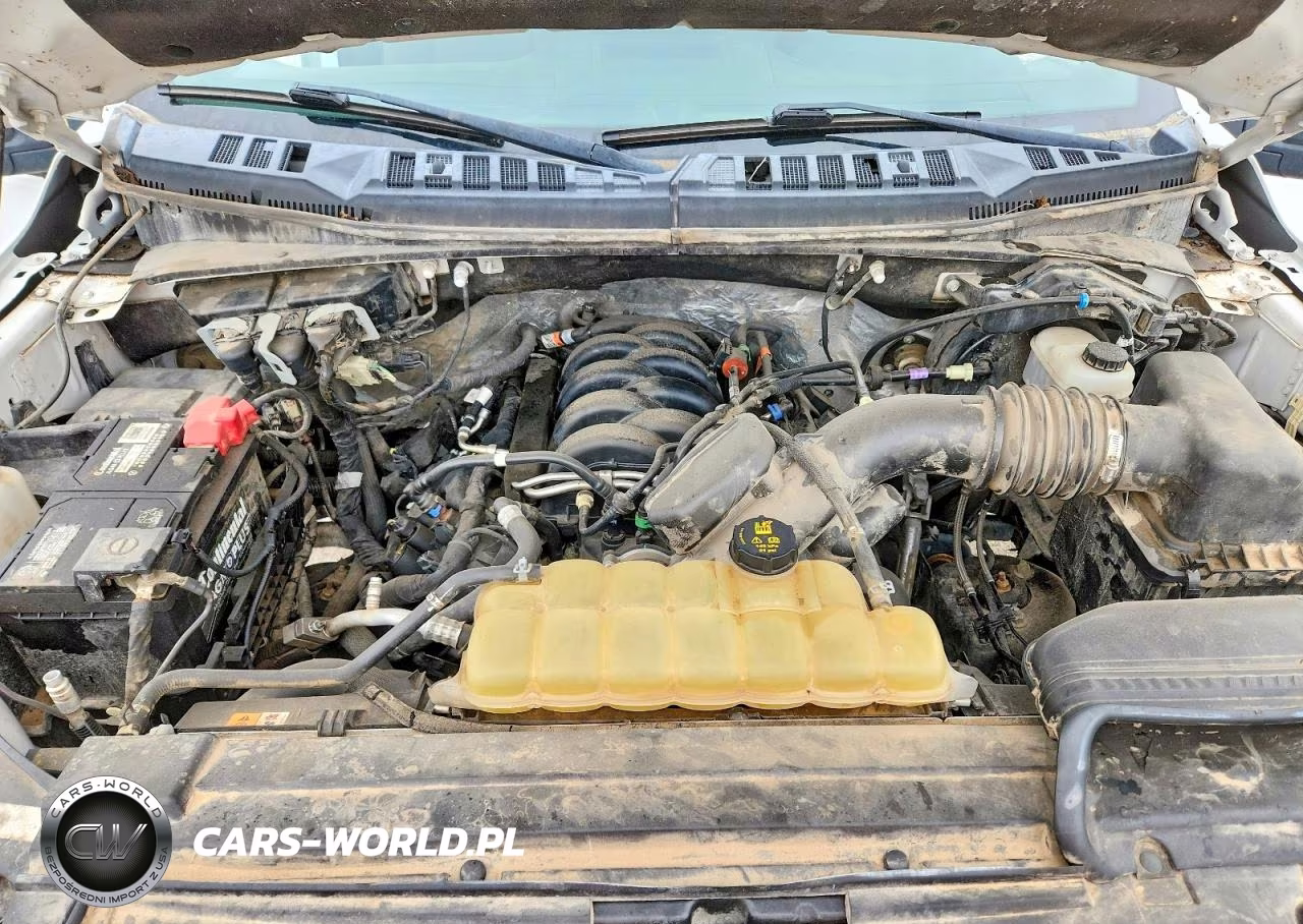2019 Ford F150 Supercrew VIN:1FTEW1E58KKC71796 - 11